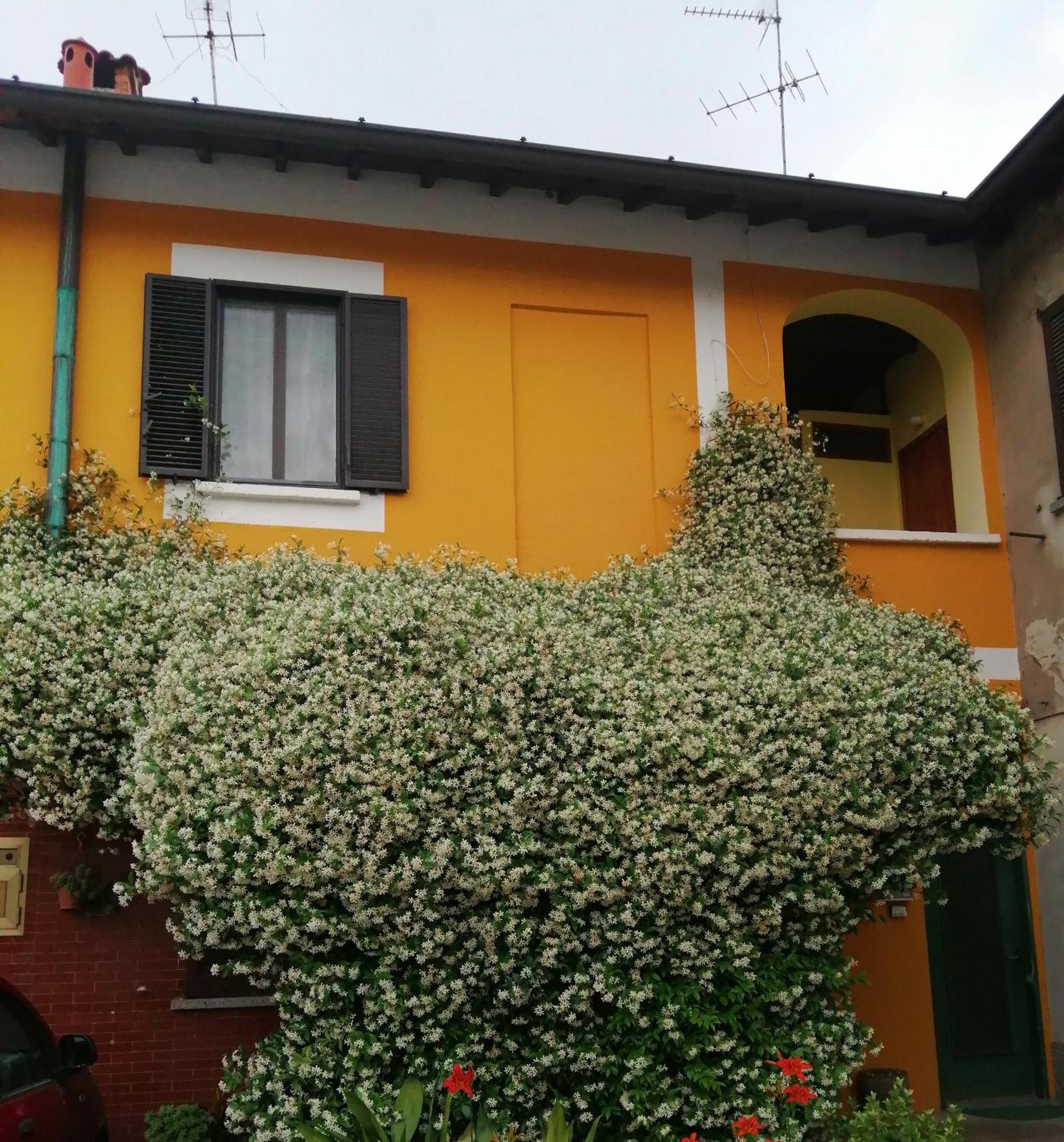 Pitstop Monza Vedano Al Lambro Экстерьер фото